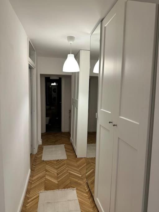 Simba Residence Timisoara Ngoại thất bức ảnh